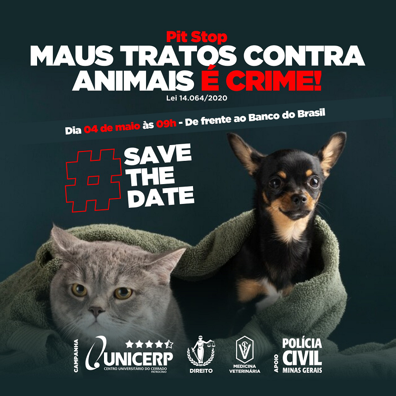 PitStop_Maus tratos contra animais é crime