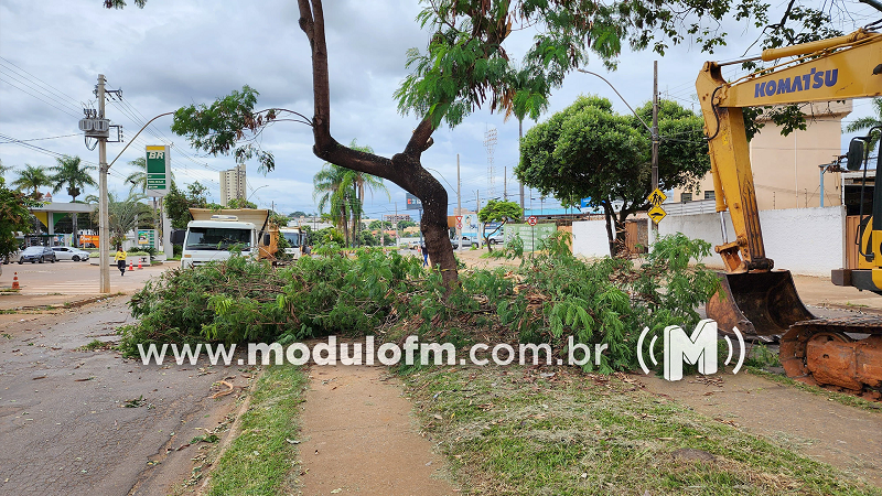 16-02-2024-PREFEITURA-CORTE-ARVORES-AVENIDAsite-2