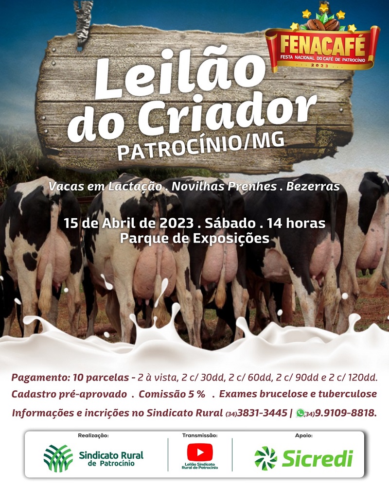 05-04-2023 Leilao Criador Sindicato Rural