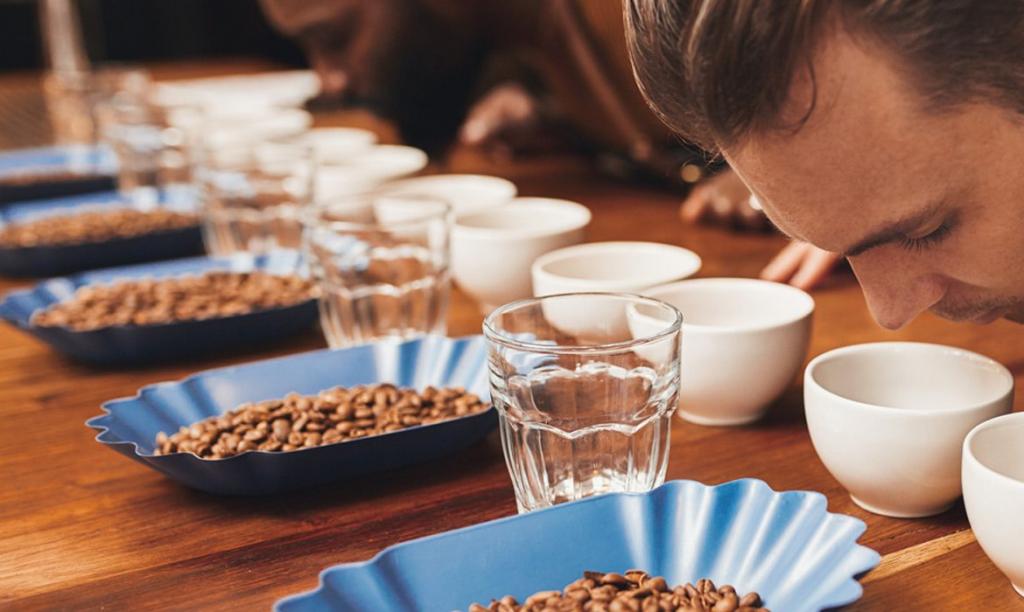 ACARPA promove curso de classificação de café