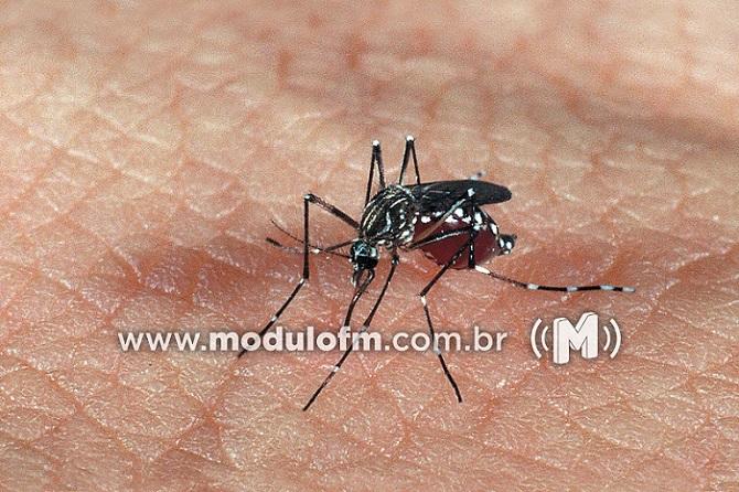 Prefeitura contrata dez novos agentes de endemias para ações de combate à dengue