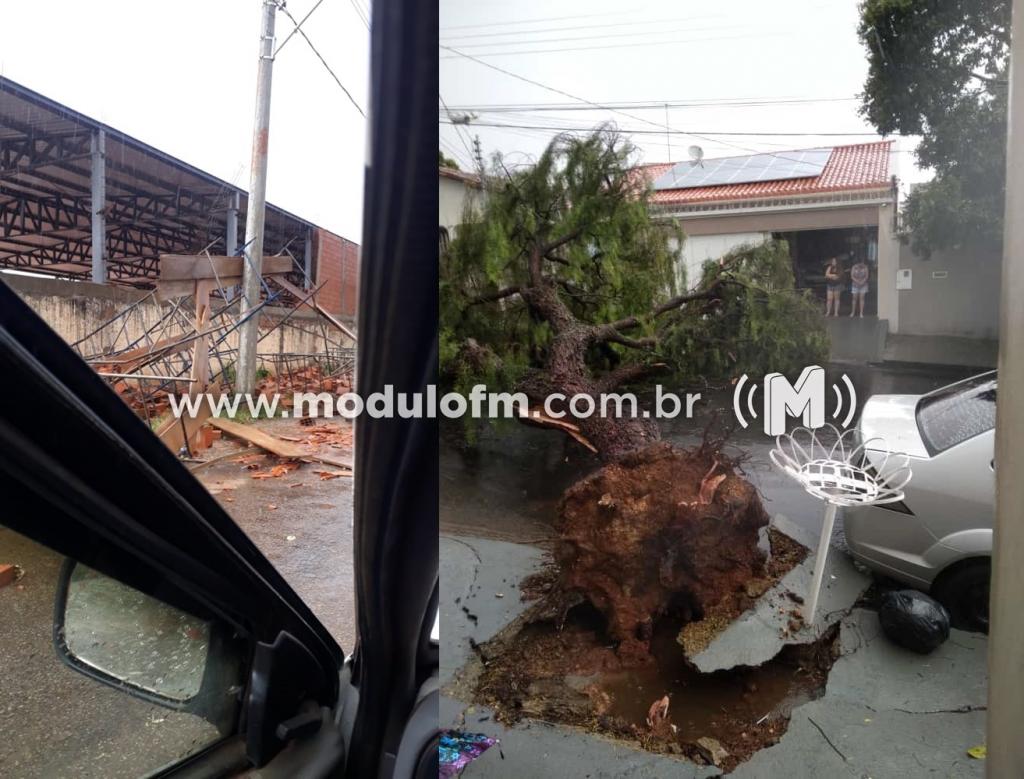 Chuva forte derruba árvores e causa estragos em Patrocínio