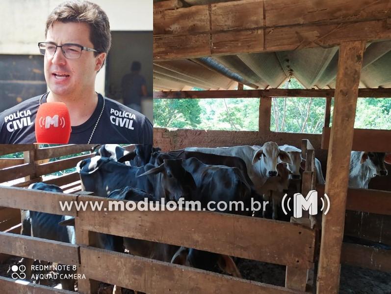 Delegado fala sobre a prisão de homem preso por suspeita de receptação de gado furtado em Serra do Salitre