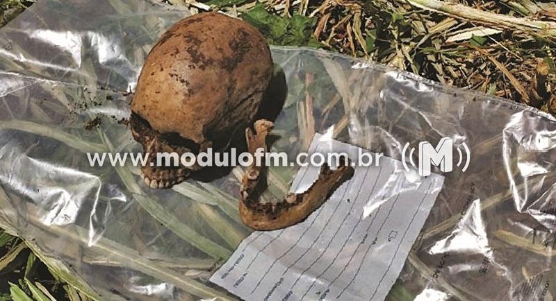 Ossada humana é encontrada às margens da MG-190  em Abadia dos Dourados