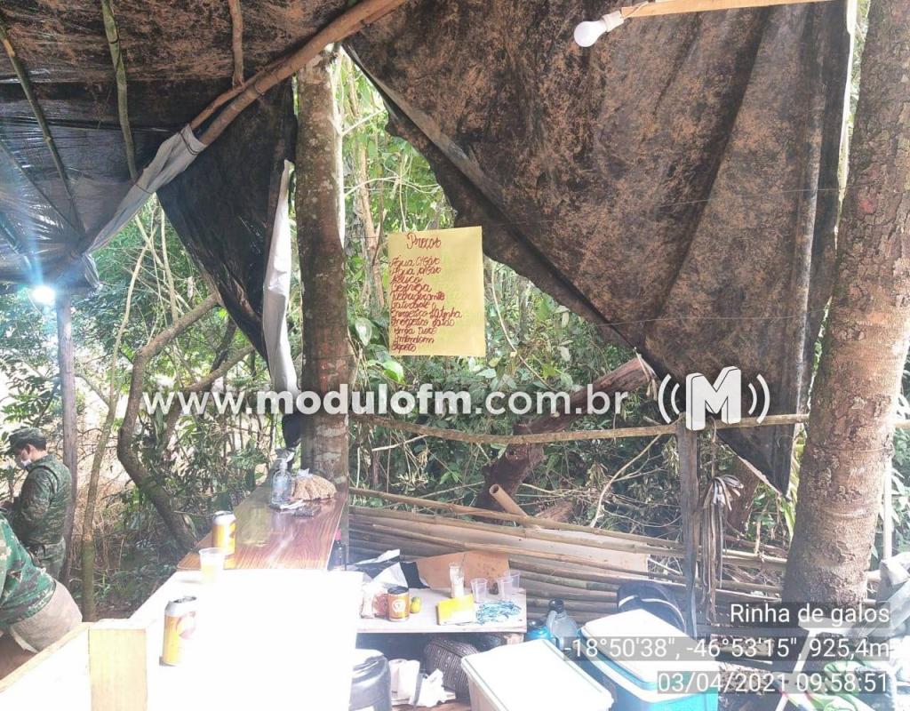 Imagem 2 do post Mais de 20 pessoas são presas em rinha de galo na zona rural de Patrocínio