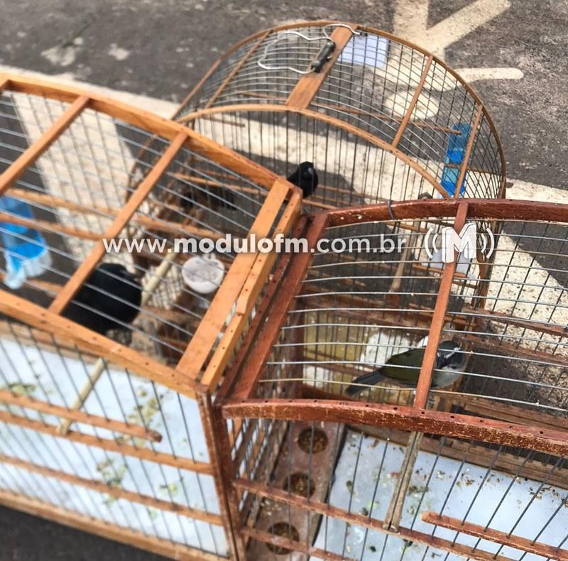 Homem é multado em cerca de R$ 52 mil por manter aves irregulares em Patrocínio
