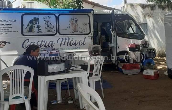 ADA realiza Mutirão de Castração em Tejuco com o apoio da Mosaic