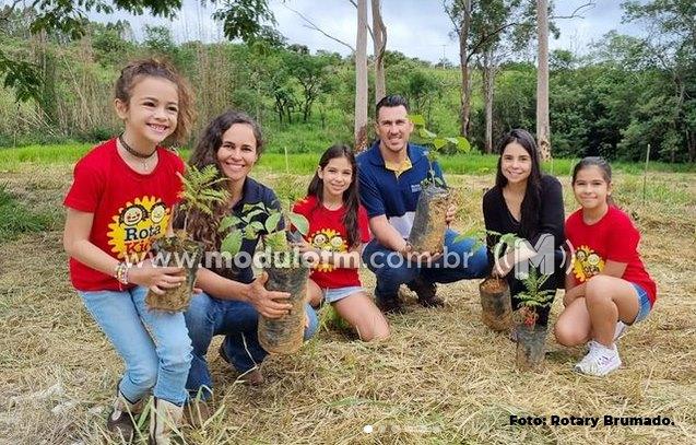 Rotary’s de Patrocínio realizam o plantio de mudas de árvores em campanha ambiental