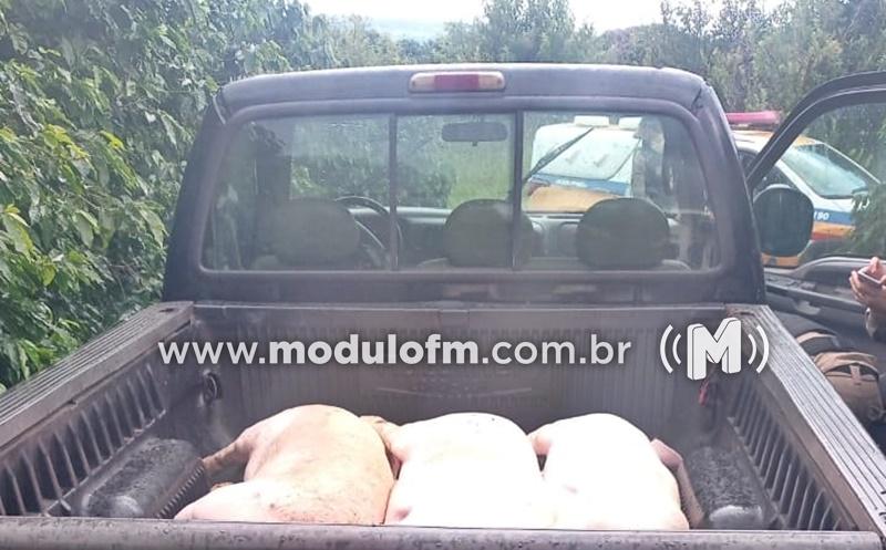 Imagem 1 do post Após perseguição policial, suspeitos abandonam caminhonete carregada com carne suína transportada de forma irregular