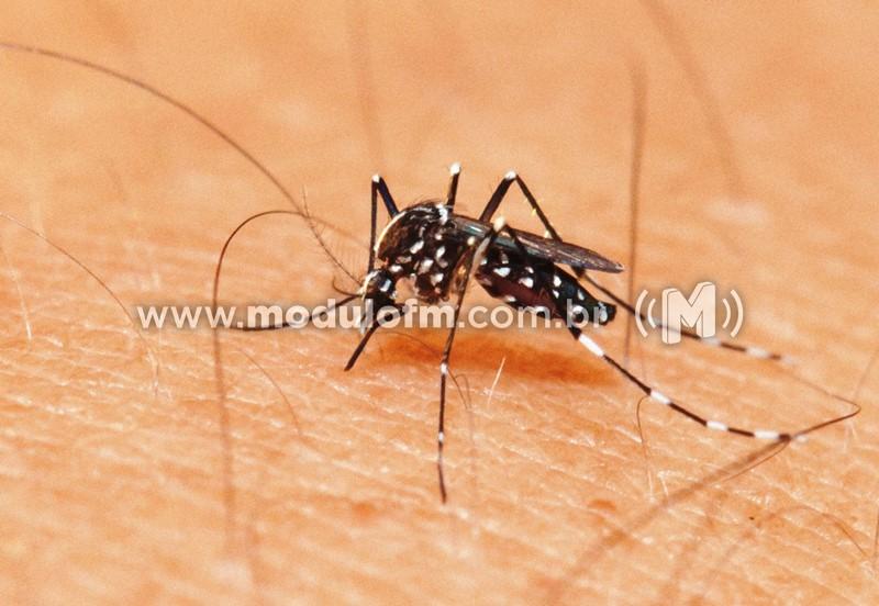 Boletim Epidemiológico aponta 16.671 casos de Dengue foram confirmados...