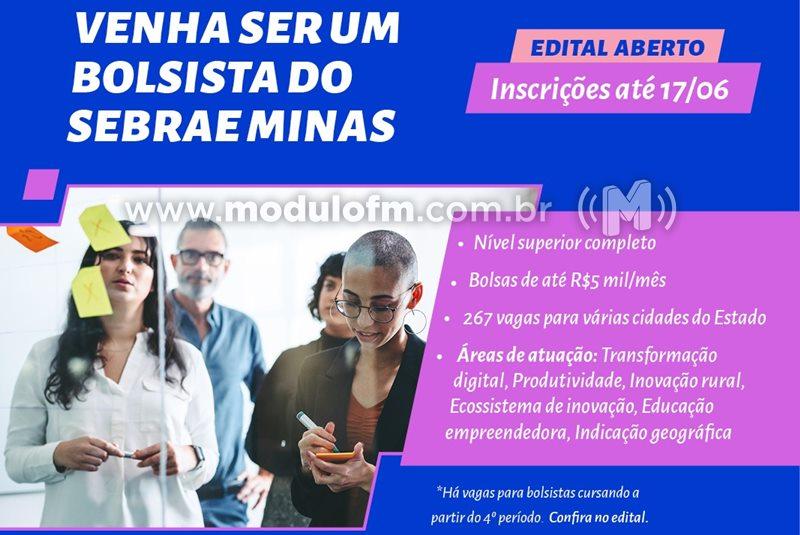 Sebrae Minas abre edital com quatro vagas em Patrocínio do Programa ALI com bolsas de até R$ 5 mil