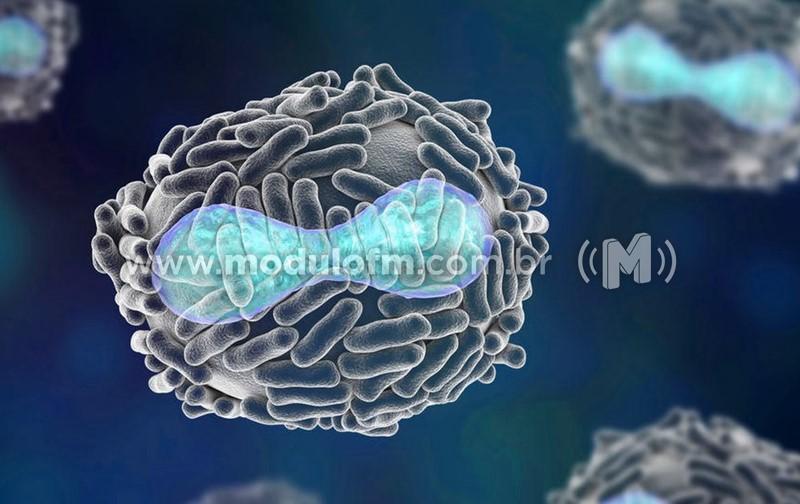 50 mil doses de imunizantes contra varíola dos macacos comprados devem chegar em setembro