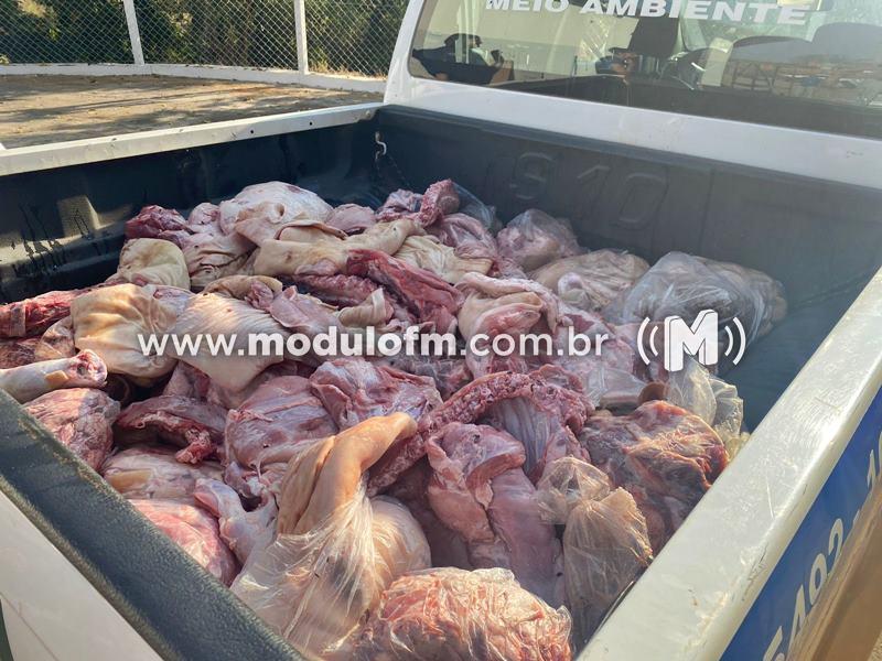 Açougue com carne irregular é autuado e cerca de 500 kg de carne imprópria para consumo é apreendida e inutilizada em Patrocínio