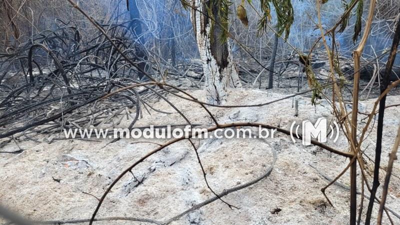 Imagem 1 do post Incêndio atinge área de reserva do Bosque da Matinha e mobiliza Prefeitura e Corpo de Bombeiros em Patrocínio