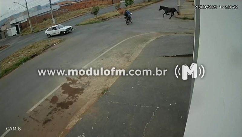 Veja o vídeo: Motociclista fica ferido após bater em cavalo solto na rua em Patrocínio