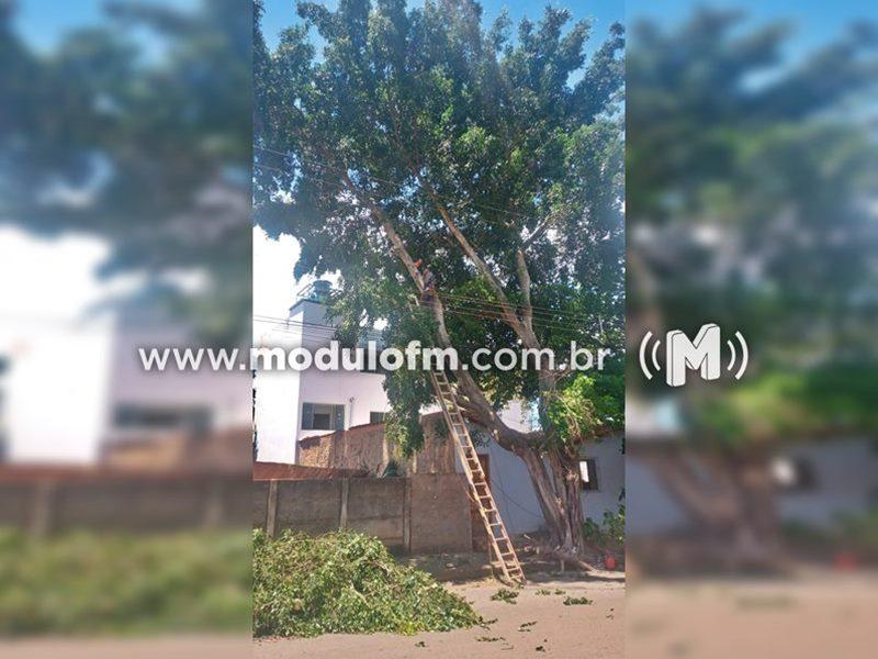 Homem sofre descarga elétrica enquanto podava árvore em Monte Carmelo