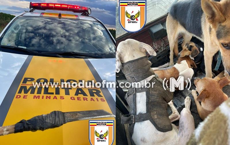 Polícia prende caçador por embriaguez ao volante e encontra cinco cães dentro de porta-malas de veículo na MGC-462