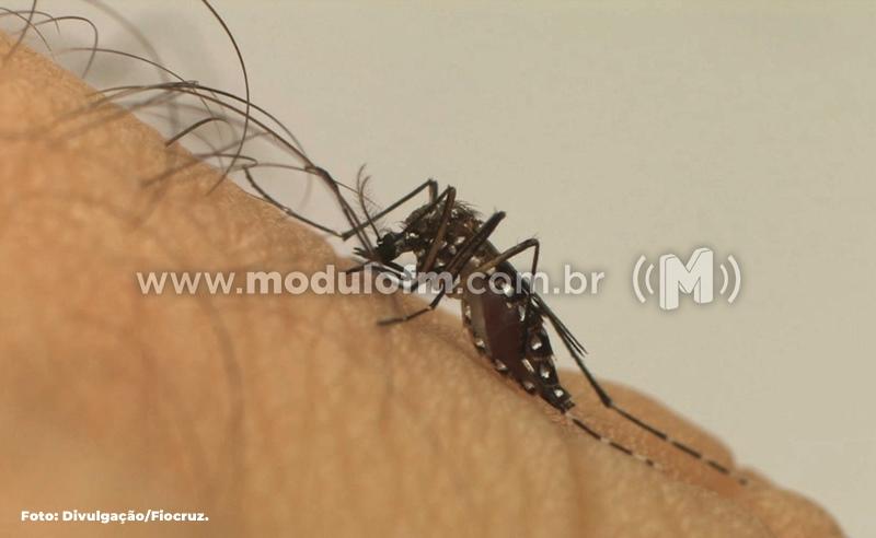 Boletim Estadual mostra que Patrocínio teve 714 casos prováveis de Dengue em 2022