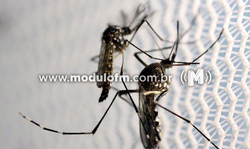 Vigilância Epidemiológica intensifica trabalho de conscientização durante período crítico da dengue em Patrocínio