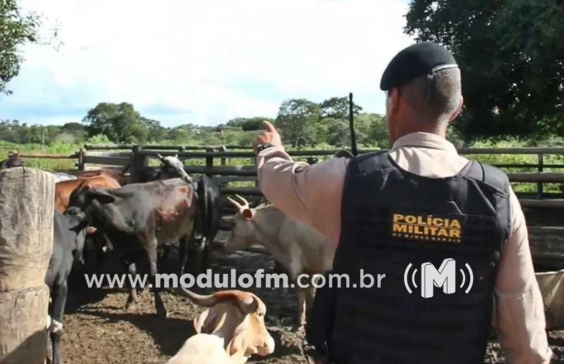 Idoso tem fazenda arrombada e cinco cabeças de gado são levadas na zona rural de Patrocínio