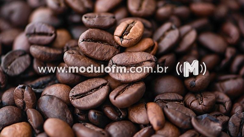 Epamig inicia comercialização de sementes de café