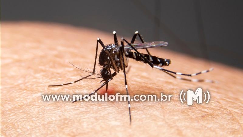 Lei determina que Prefeitura divulgue boletins com números de casos da dengue em Patrocínio