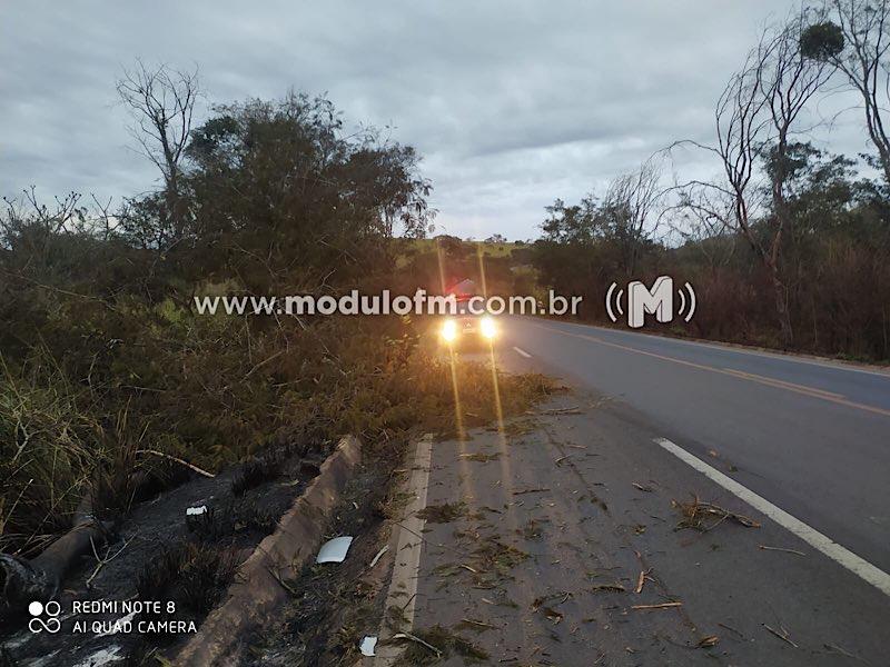 Imagem 1 do post Tragédia na BR-365: Caminhoneiro perde a vida em acidente ao desviar de árvore caída na pista