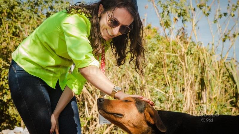 Iniciativa da Mosaic Fertilizantes consegue lar para mais de 390 cães e gatos