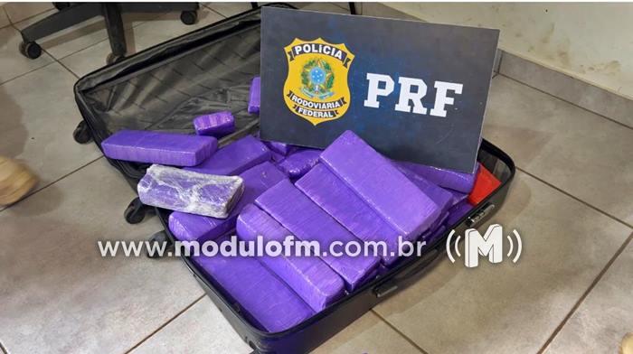 Polícia Rodoviária Federal apreende 40 quilos de maconha após perseguição na BR-365