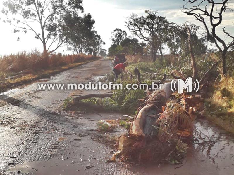 Temporal com ventos intensos derruba árvores e provoca interdição da MG-188 entre Patrocínio e Coromandel