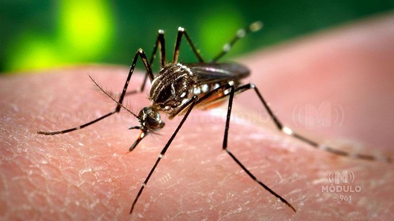 Boletim estadual aponta 75 casos de dengue em Patrocínio na primeira quinzena do ano