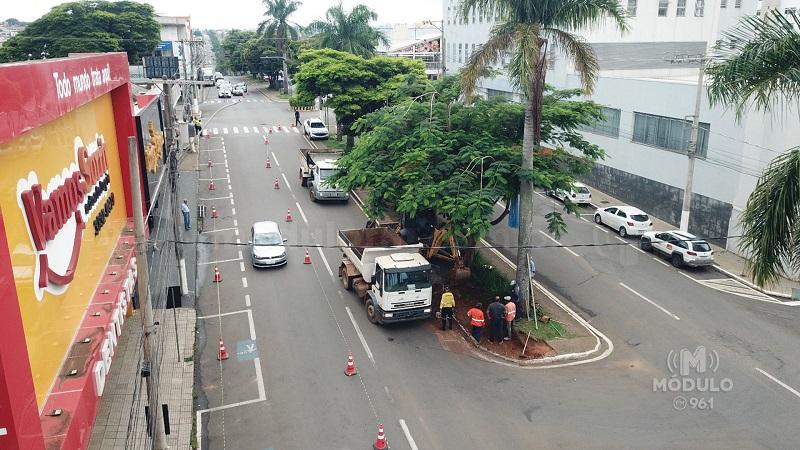 Trechos da Avenida Faria Pereira contarão com terceira faixa para facilitar conversão de veículos
