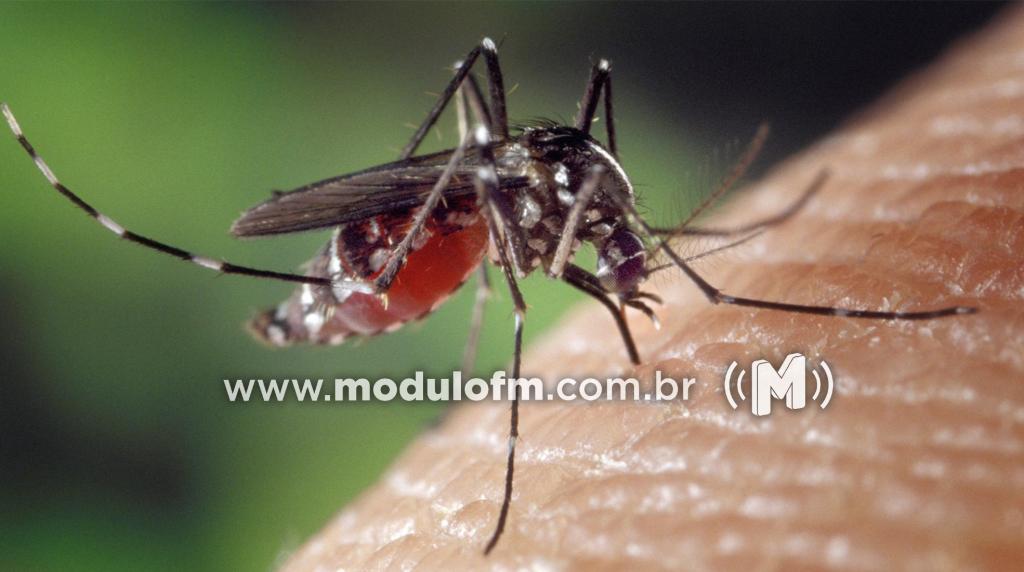 Patrocínio registrou 451 casos de Dengue no último boletim da SES-MG