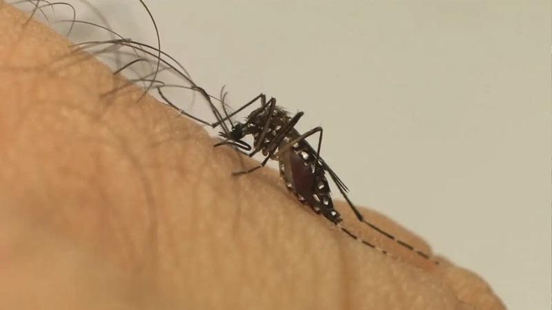 Boletim estadual confirma 1.580 casos de dengue em Patrocínio no ano de 2024