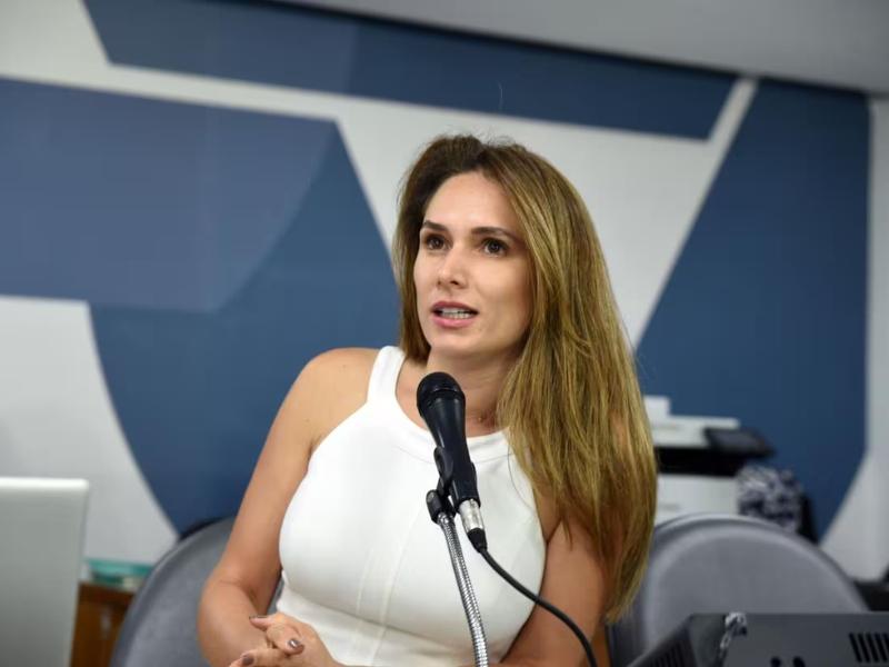 Deputada Lud Falcão fala à Módulo FM sobre ação que pode suspender cobrança de pedágios na BR-365