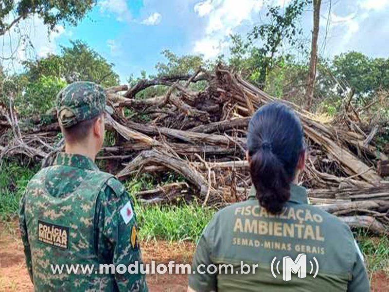 Equipes de fiscalização e Polícia Ambiental combatem desmatamento ilegal...