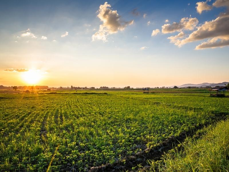 Prefeitura de Patrocínio realiza atendimento gratuito para regularização do Cadastro Ambiental Rural