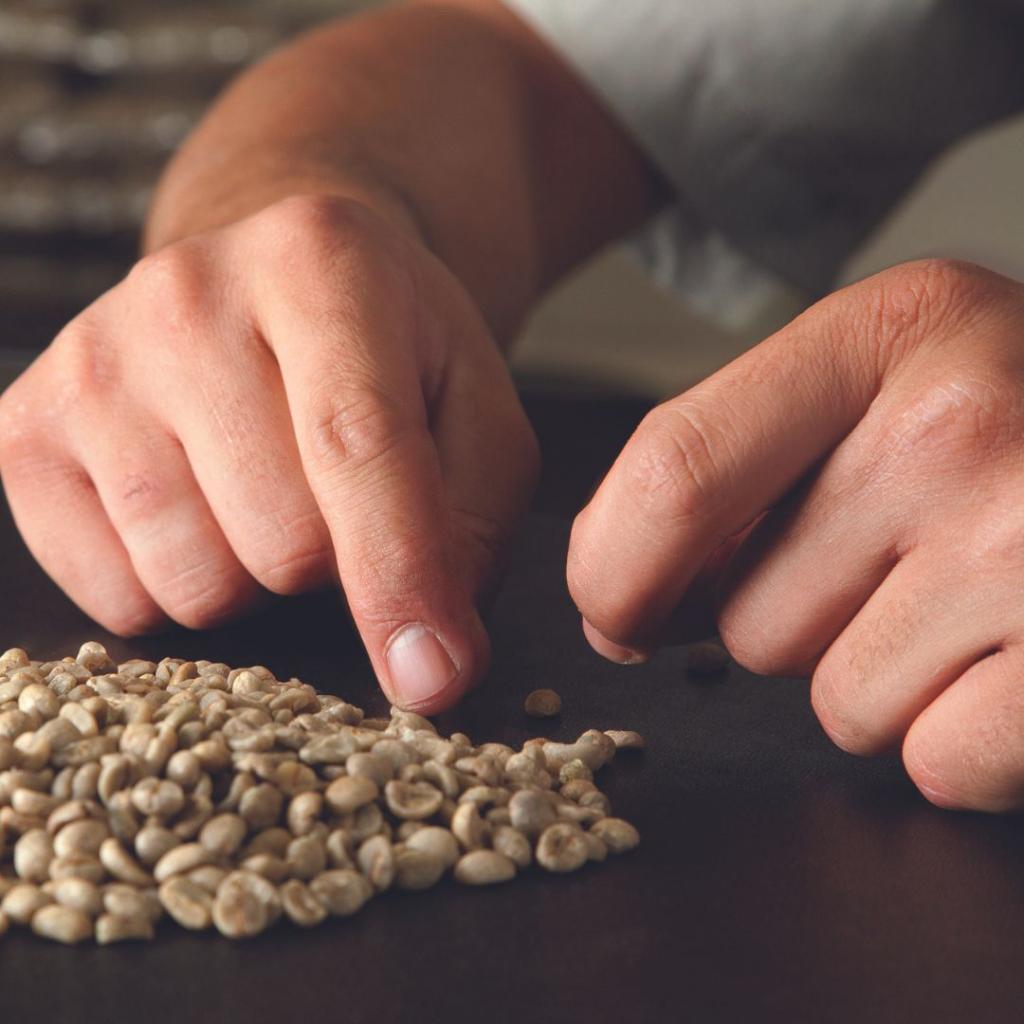 Cooperativa dos Cafeicultores do Cerrado abre recebimento de amostras...