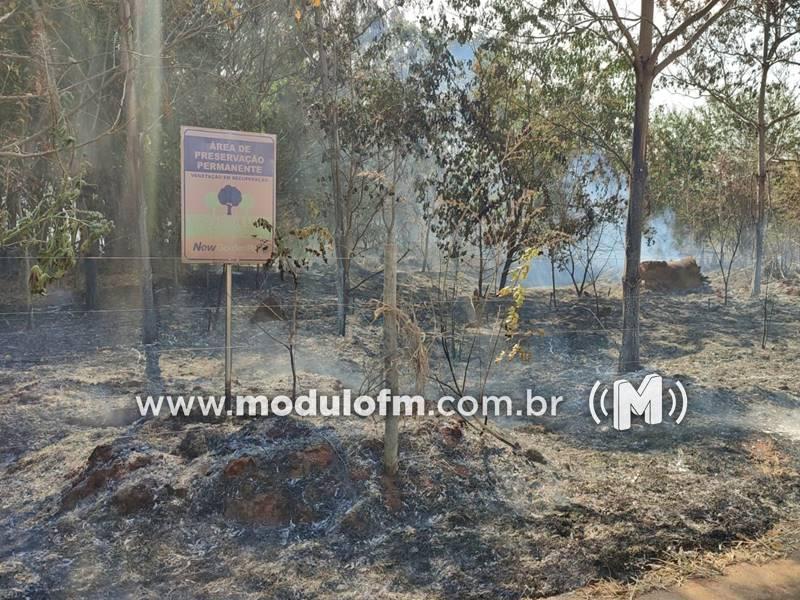 Incêndio de grandes proporções atinge reserva ambiental e depósito...