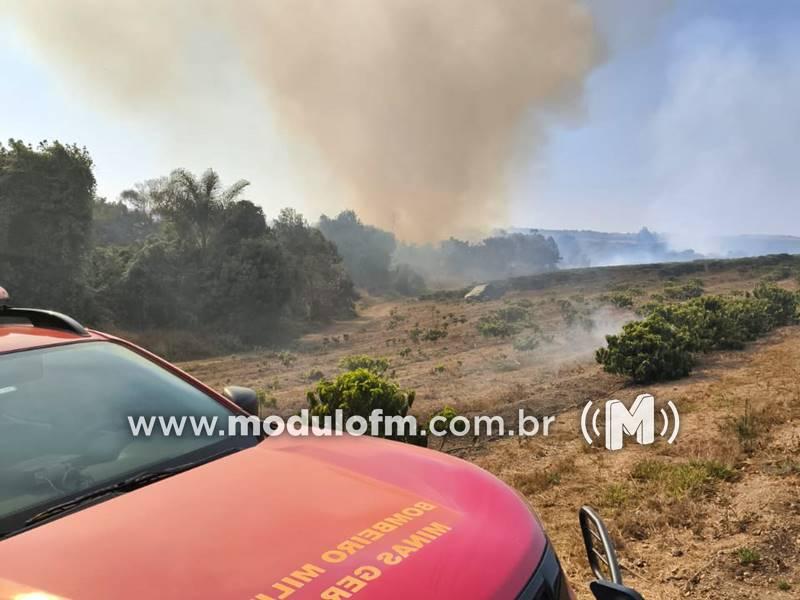 Incêndio de grandes proporções atinge lavouras de café e consome 700 hectares de vegetação no distrito de Pântano