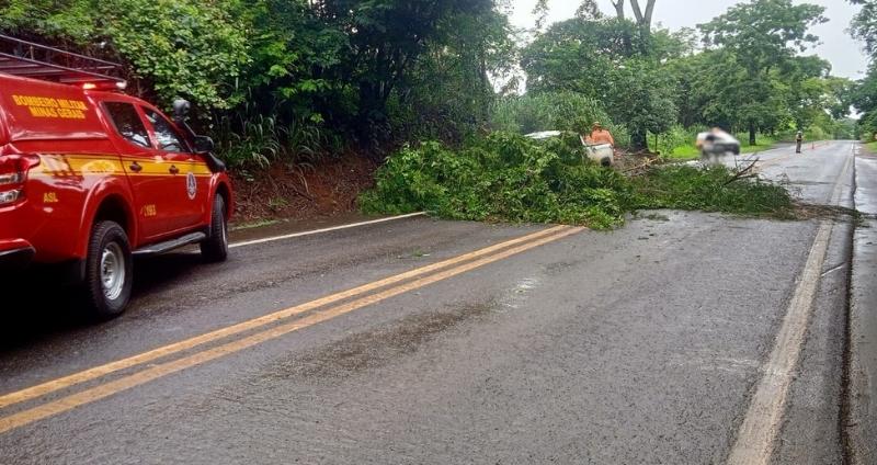 Imagem 1 do post Durante forte chuva, árvore cai sobre veículo na MG-187 próximo a Salitre de Minas