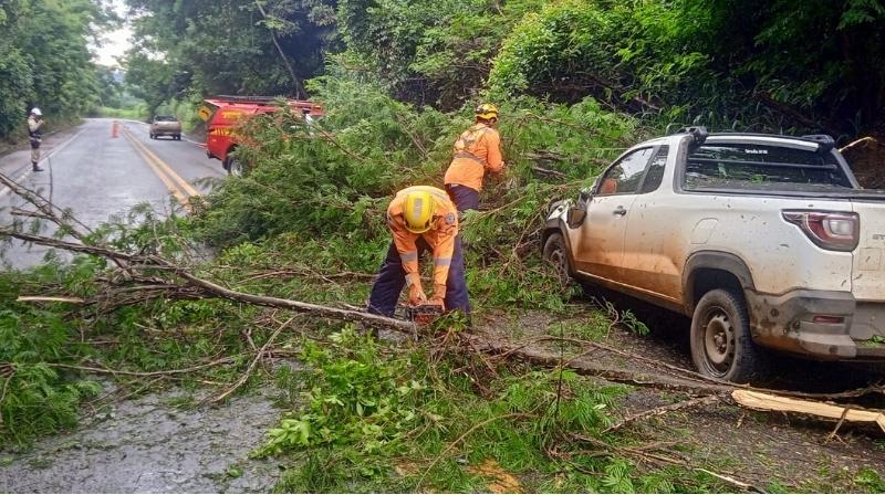 Durante forte chuva, árvore cai sobre veículo na MG-187 próximo a Salitre de Minas