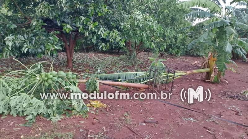 Imagem 2 do post Emater e Secretaria de Agricultura se reúnem para avaliar danos causados por tempestade