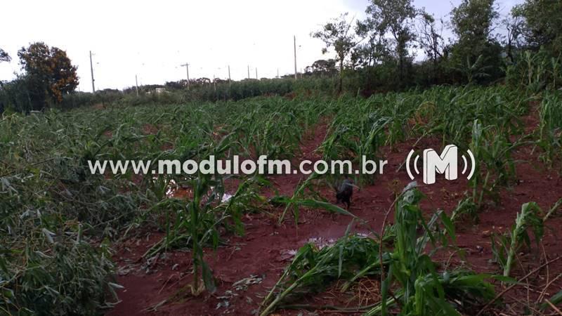 Imagem 3 do post Emater e Secretaria de Agricultura se reúnem para avaliar danos causados por tempestade