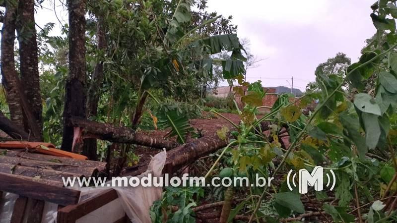 Emater e Secretaria de Agricultura se reúnem para avaliar danos causados por tempestade