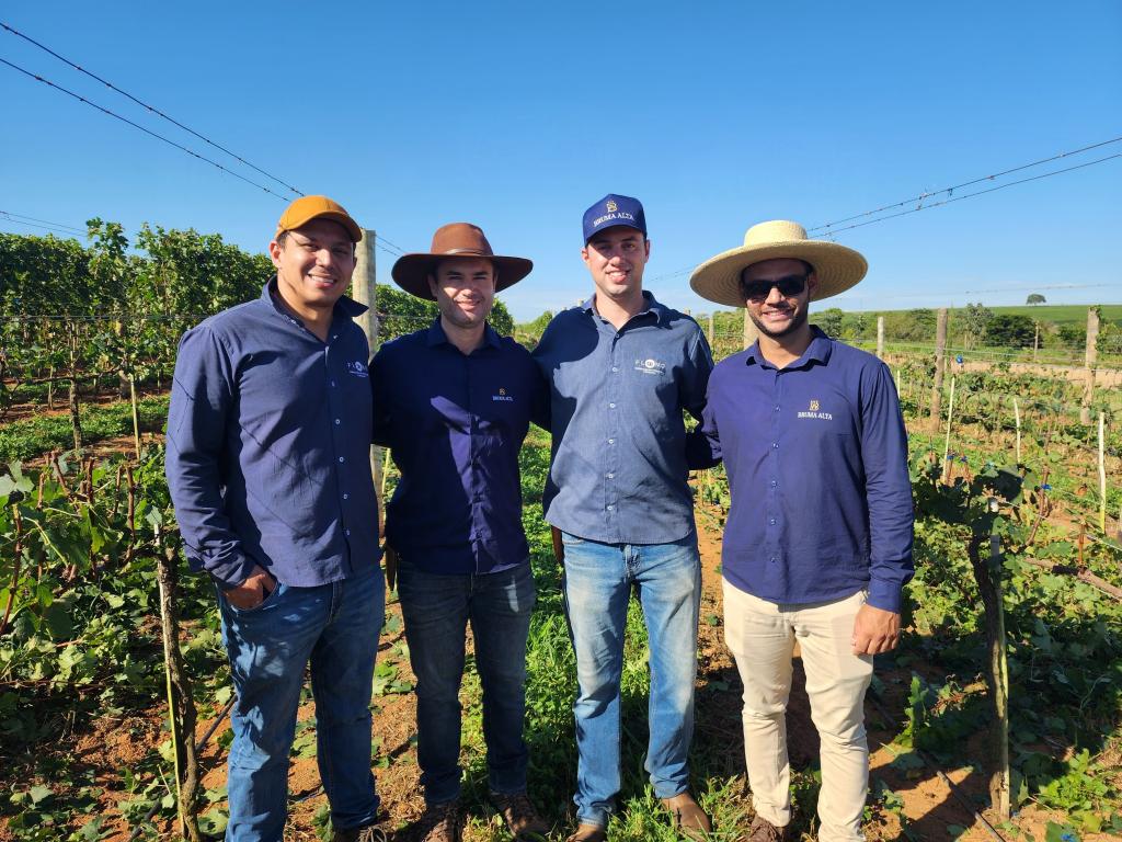 Proprietário da marca Bruma Alta detalha o planejamento de comercialização do vinho