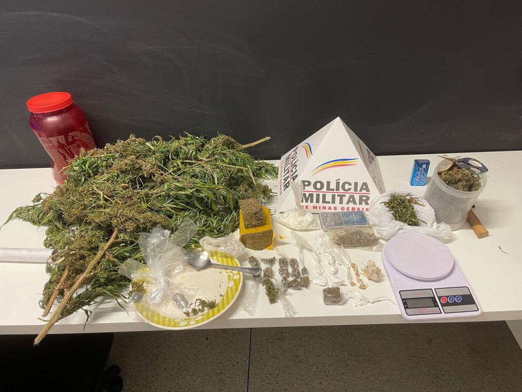 Imagem 3 do post Polícia Militar apreende drogas e pés de maconha após fuga de suspeito em Guimarânia