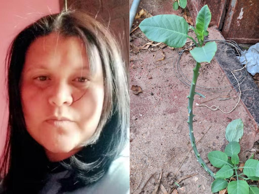 Mulher que morreu por intoxicação causada por falsa couve será sepultada nesta...