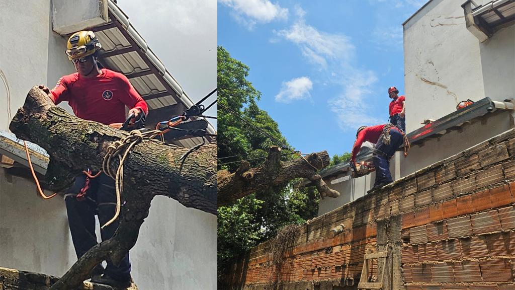 Árvore cai durante forte chuva e atinge residência no Bairro São Francisco, em Patrocínio