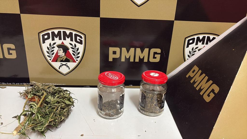 Imagem 2 do post Denúncia anônima leva à apreensão de pé de maconha e prisão por tráfico em Coromandel